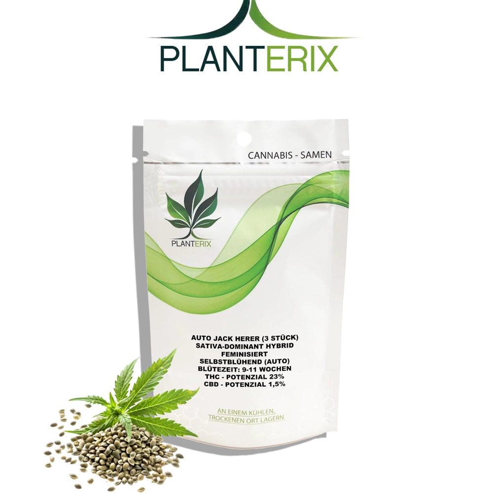 Auto Jack Herer Samen