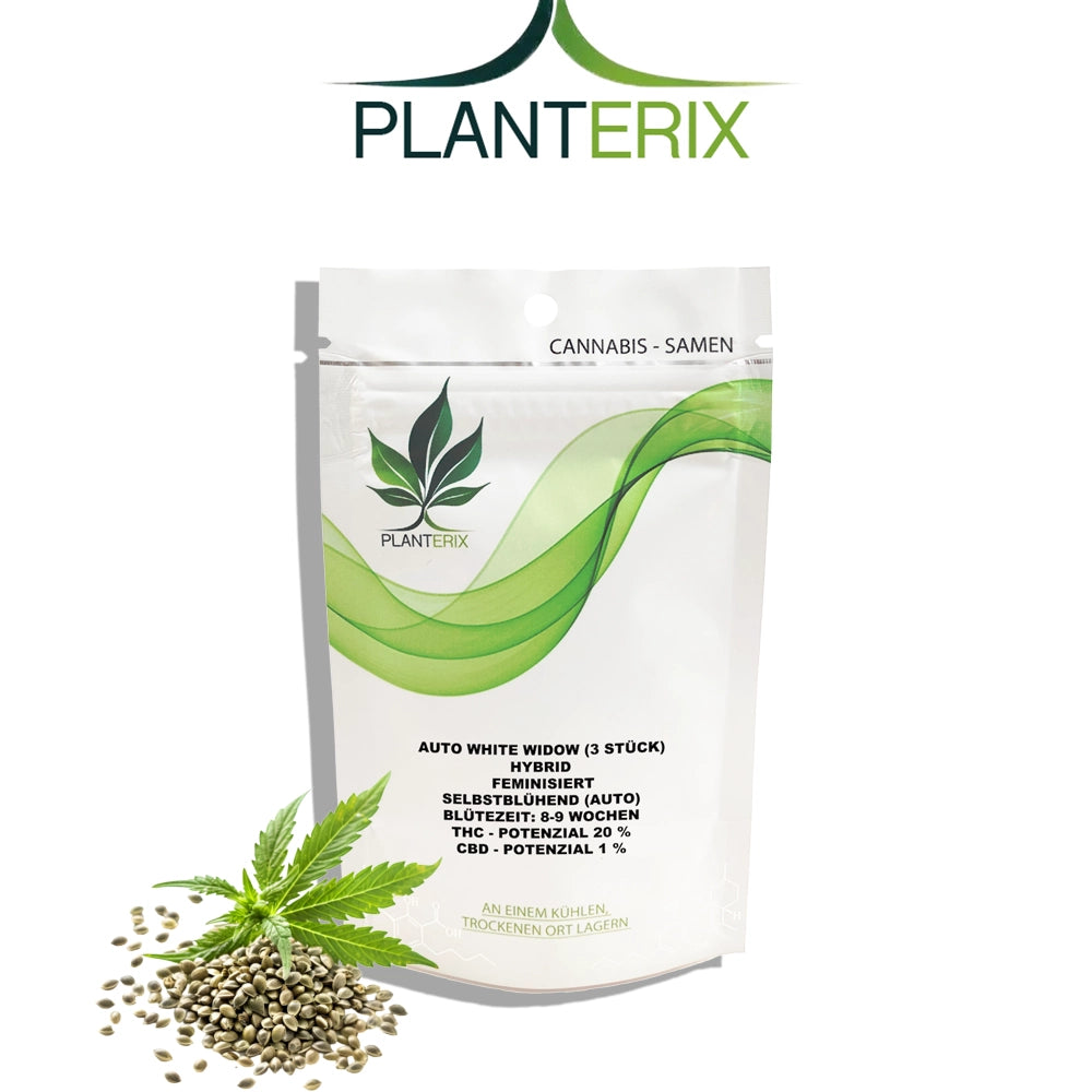 Auto White Widow Samen