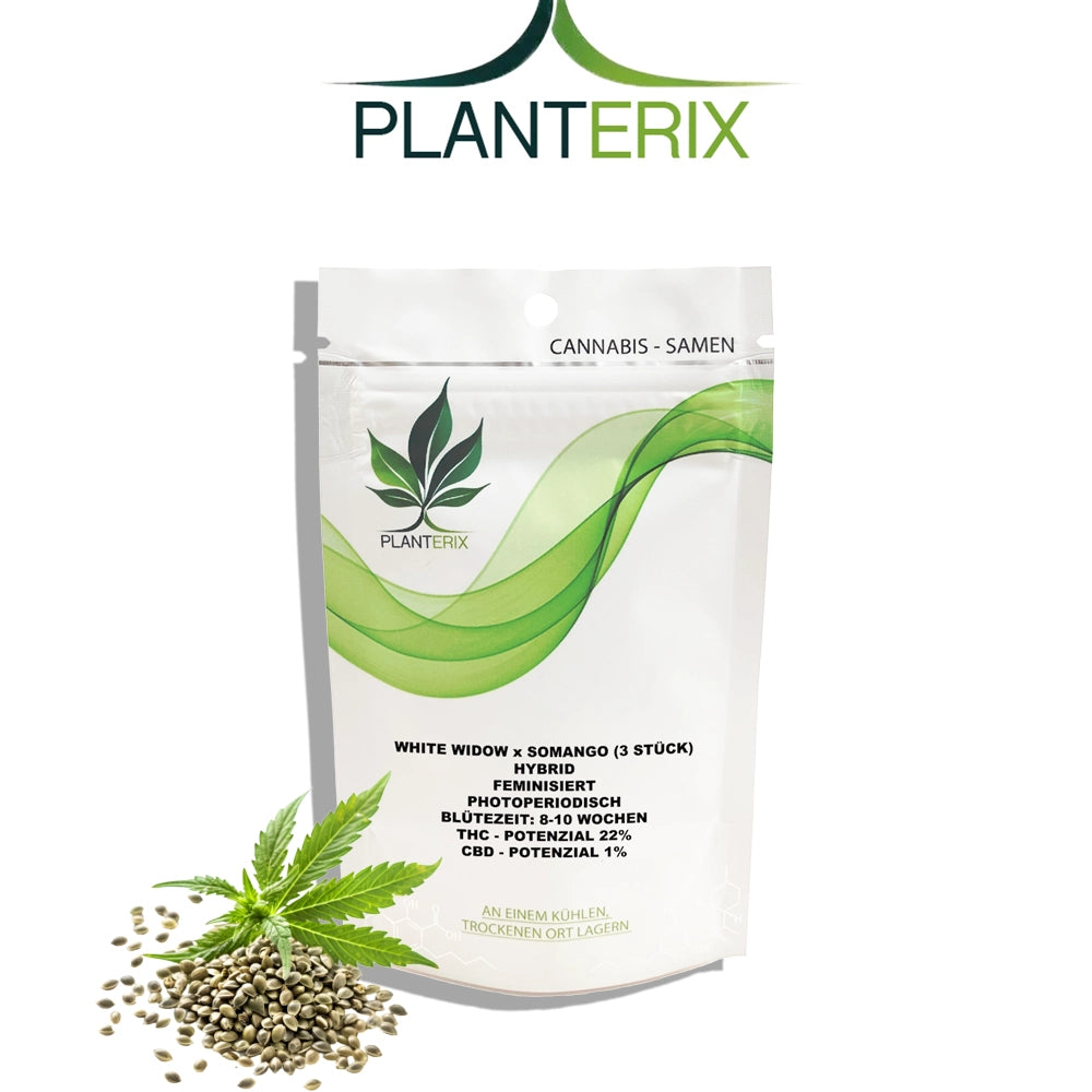 White Widow x Somango Samen