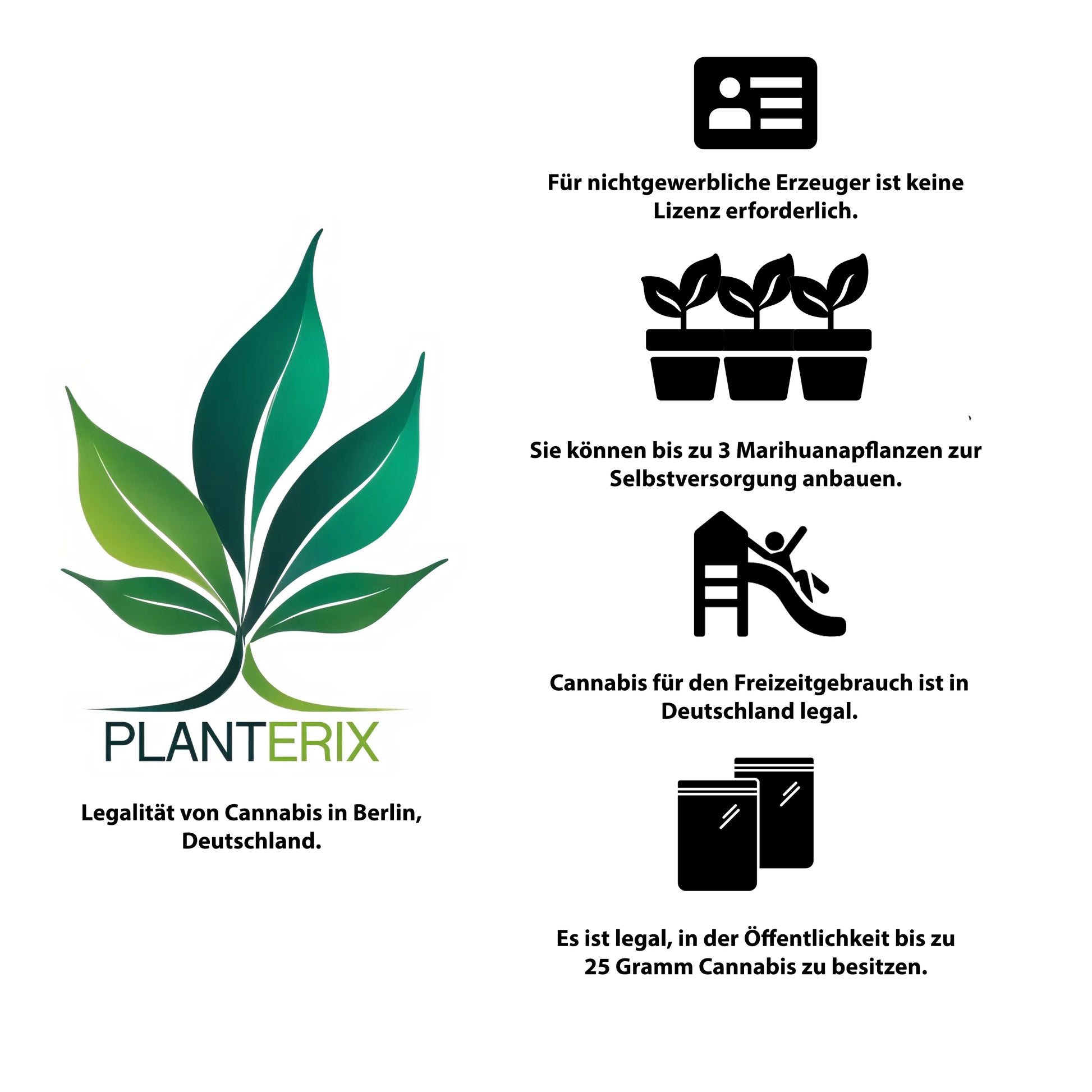 White Widow x Somango Samen