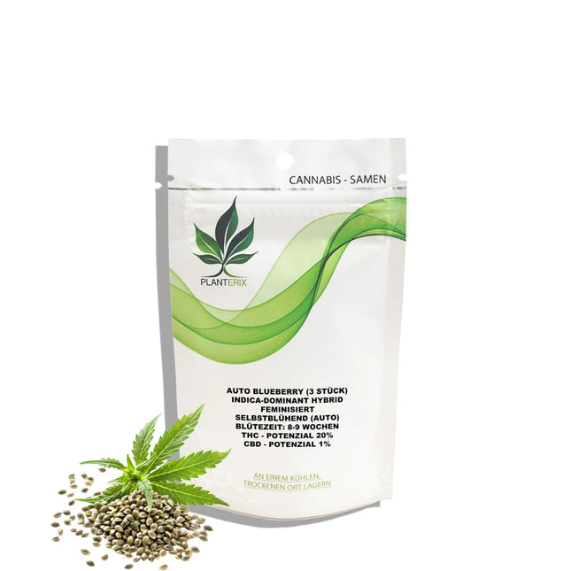 Auto Blueberry Samen