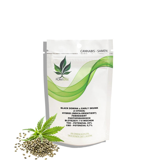 Black Domina x Early Skunk Samen